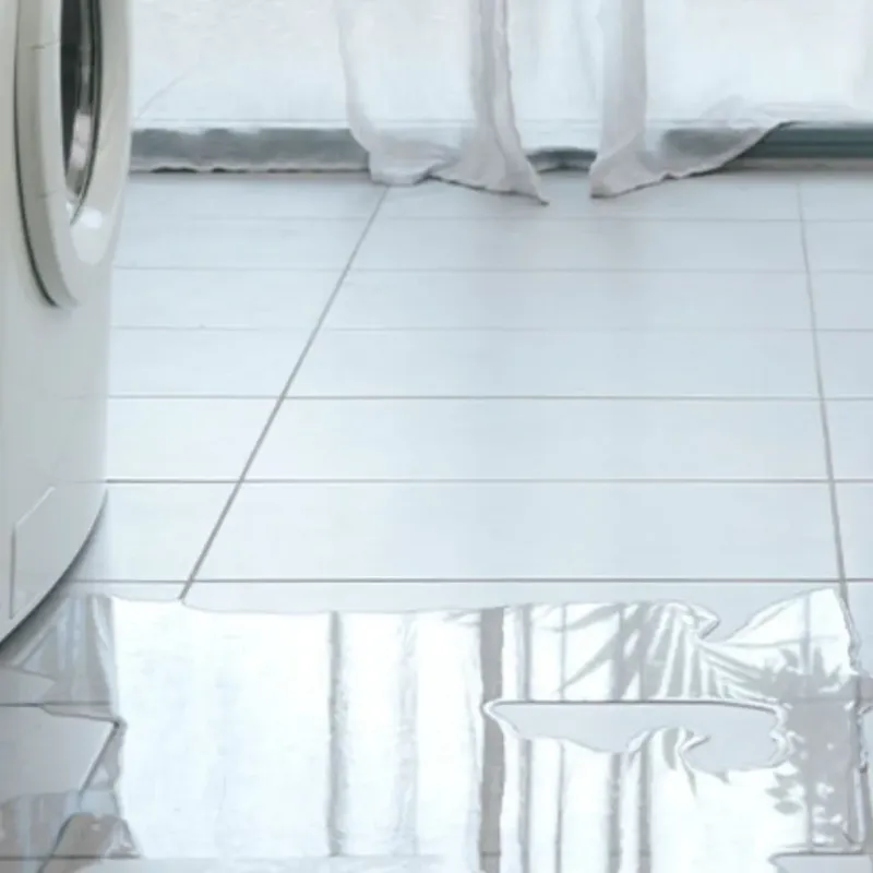 Appliance Leak Cleanup in Colchester, IL