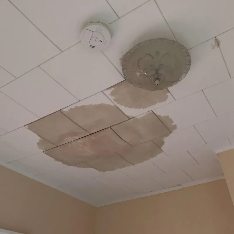 Ceiling Water Damage Repair in Colchester, IL