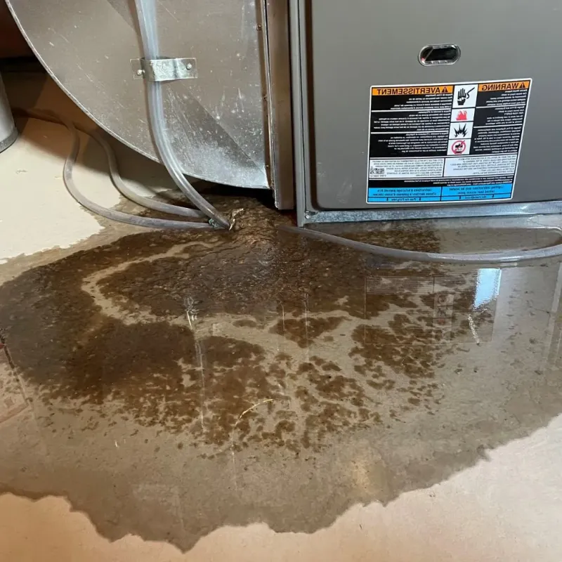 Pipe Burst and Leak Restoration in Colchester, IL