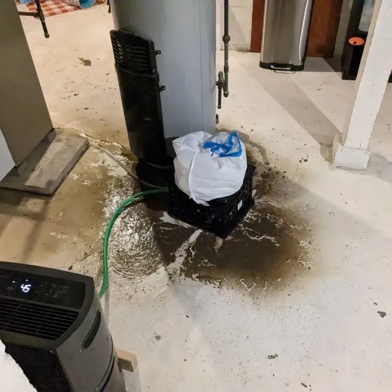 Sewage Backup Cleanup Service in Colchester, IL